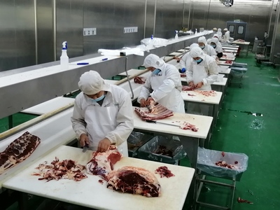 新时代的“庖丁 --新疆创锦福云食品牛肉分割掠影